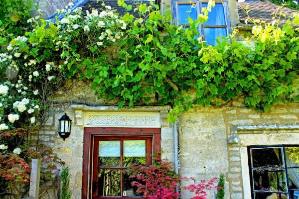 Dove Cottage Bisley  Zewnętrze zdjęcie