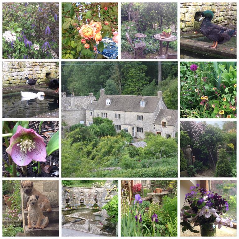 Dove Cottage Bisley  Zewnętrze zdjęcie
